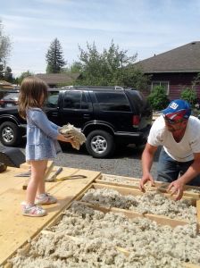 The whole family helped with the insulation!